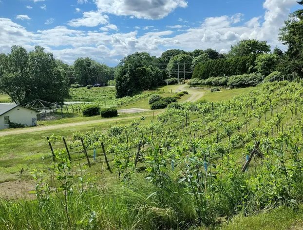 The Cottage At Amos Lake hotel detail image 1