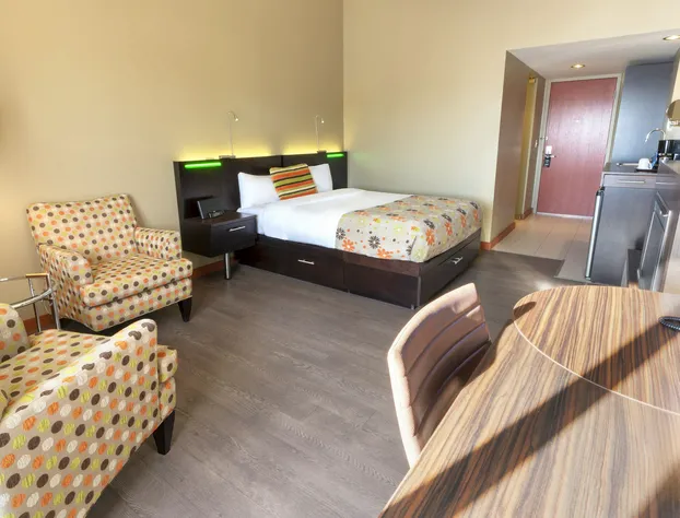 Hôtel Must – Aéroport de Québec par JARO hotel detail image 3