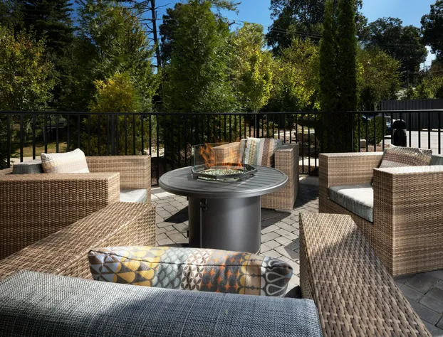 AC Hotel by Marriott Asheville Biltmore Village hotel detail image 3