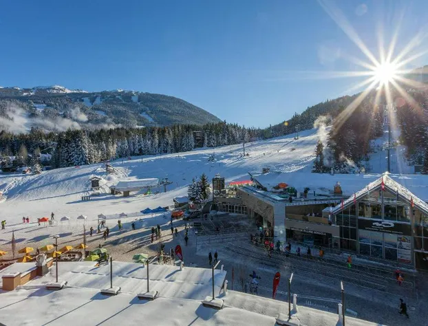 Gibbons Life Accommodations hotel detail image 2
