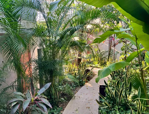 Basico Pixoy Hotel hotel detail image 2