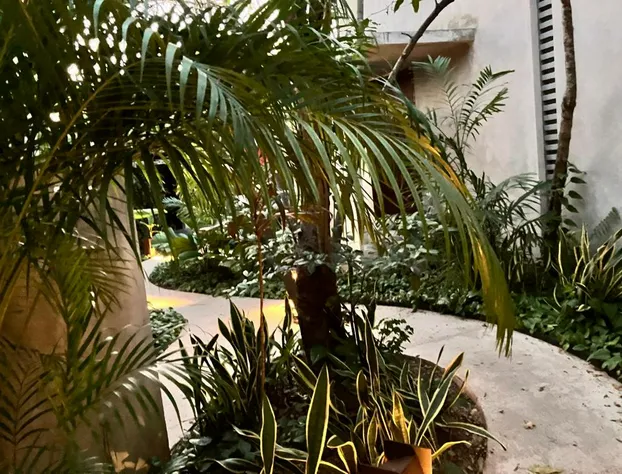 Basico Pixoy Hotel hotel detail image 3