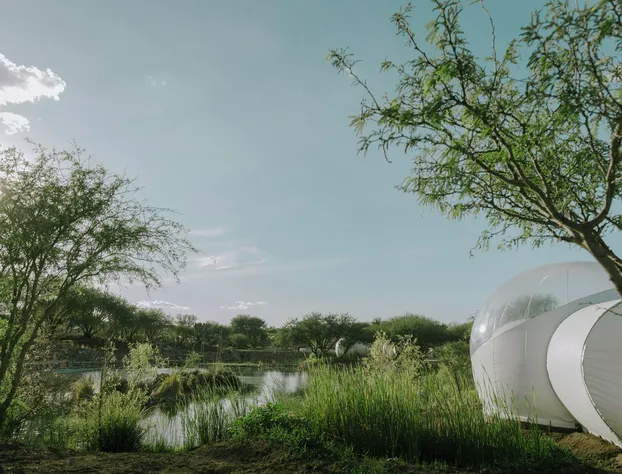 Campera Hotel Burbuja hotel detail image 3