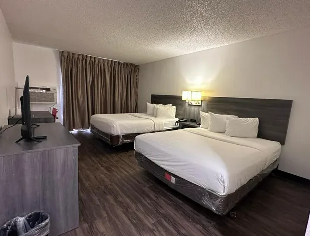 Las Palmas Airport Inn hotel detail image 4