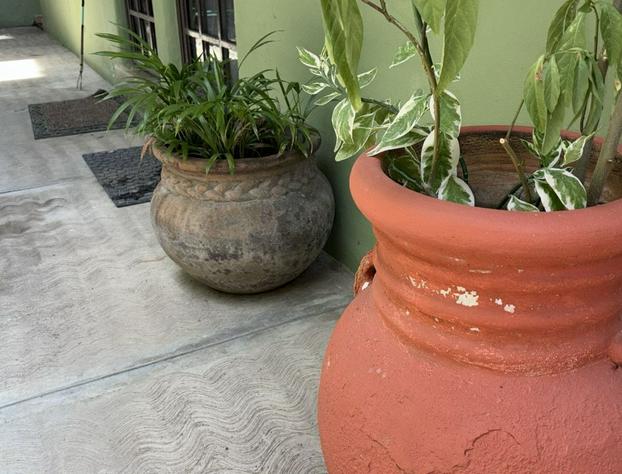 Botanical Studios Sayulita hotel detail image 1