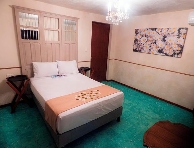Hotel Boutique Flores y Gemas hotel detail image 1