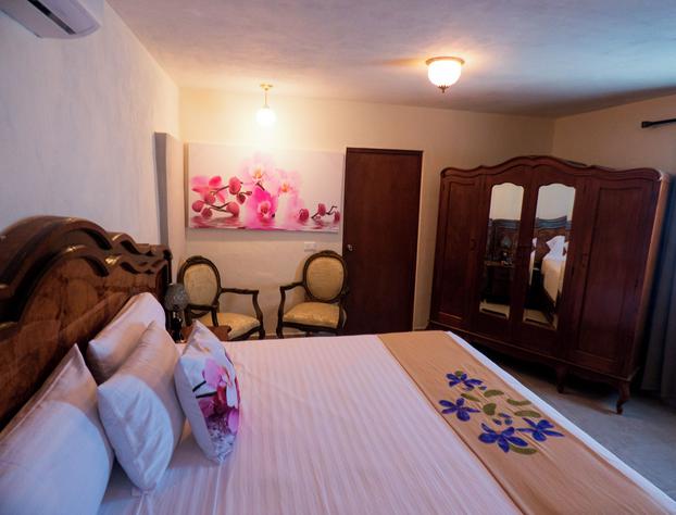 Hotel Boutique Flores y Gemas hotel detail image 3
