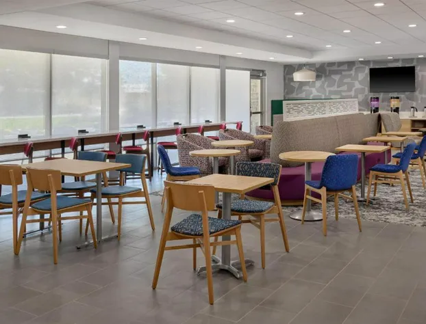 Home2 Suites By Hilton Frankenmuth hotel detail image 4