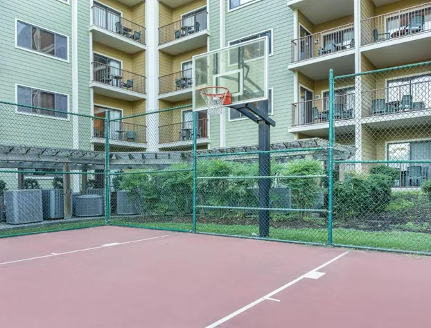 Hilton Vacation Club Laurel Crest Pigeon Forge hotel detail image 2