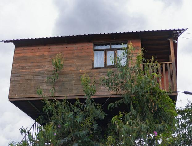 Casita Del Arbol Trini By GEstores hotel detail image 1