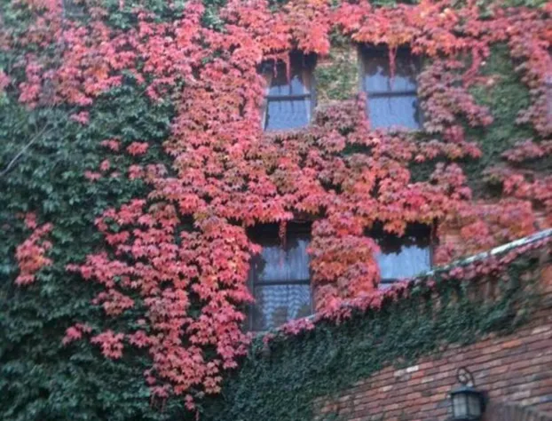 Boutique Retreat in Wine & Gold Country hotel detail image 2