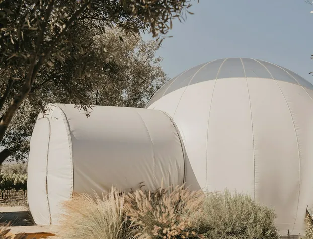 Campera Hotel Burbuja VDG hotel detail image 1