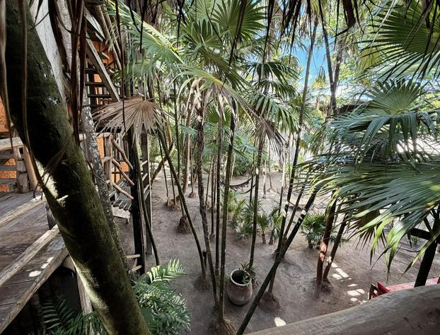 Hippie Chit Jungle Hotel hotel detail image 3