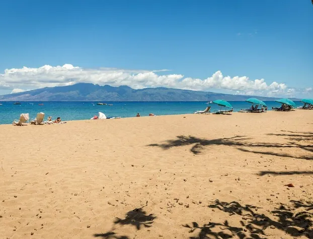 Yonegan Central Maui Getaways hotel detail image 4