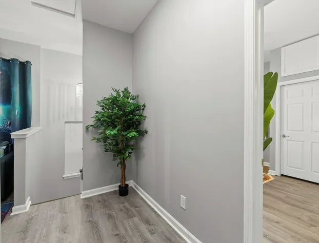 CentralWestEnd-WashU-STL- Euphoria hotel detail image 2