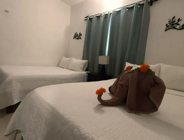 Hotel en Holbox Capis House hotel detail image 3