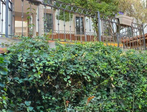 Posada Conchita hotel detail image 1