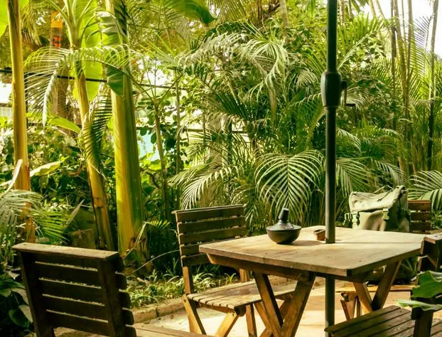 El Refugio de Sayulita - Solo Adultos hotel detail image 3