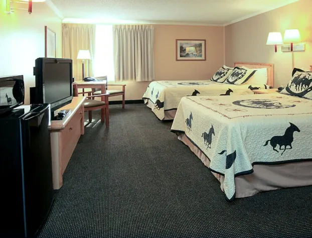 Comfort Inn & Suites hotel detail image 1