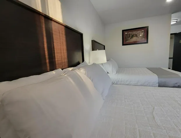 The Suite Inn hotel detail image 3