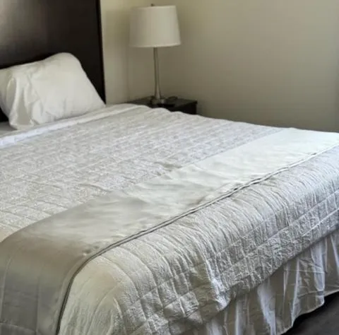 The Suite Inn hotel detail image 4