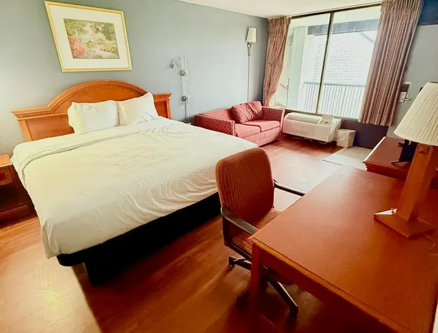 Vip inn and suites hotel detail image 2
