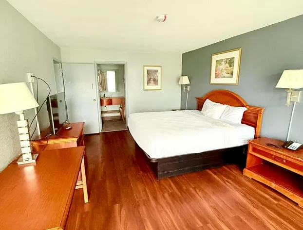Vip inn and suites hotel detail image 4