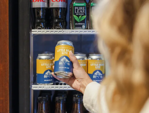 Martis Valley Lodge Tapestry Collection by Hilton hotel detail image 4