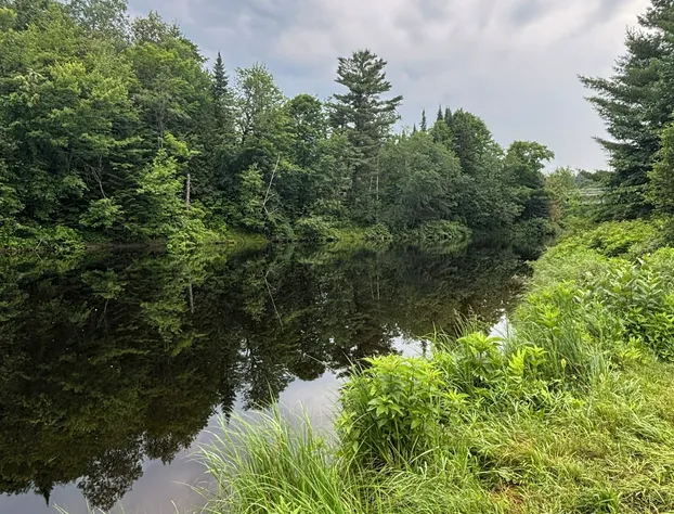 Hotel Le Riviera hotel detail image 2