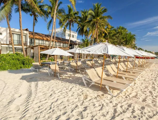 Areia Playa del Carmen-Beach front Hotel hotel detail image 1