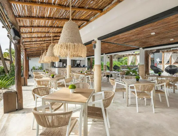 Areia Playa del Carmen-Beach front Hotel hotel detail image 3