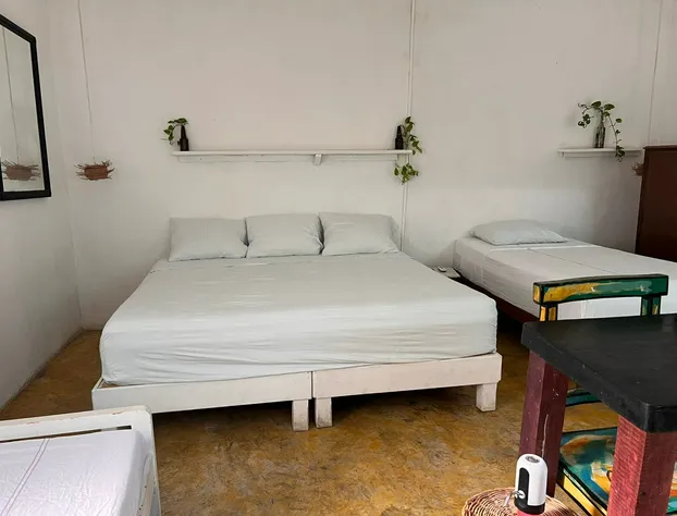 Casa Arte Bacalar - Gratis Renta Bicicletas hotel detail image 3