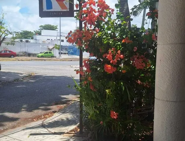 Capital O Hotel Rolovi Cancún hotel detail image 1