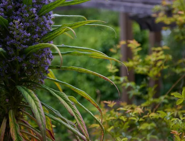 Madeira House hotel detail image 2