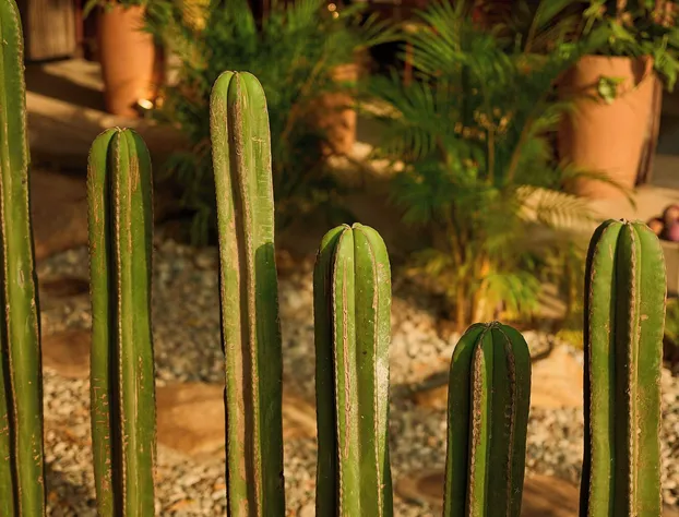 Punta Mozambique hotel detail image 4