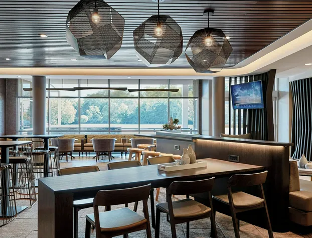 Springhill Suites By Marriott Locust Grove hotel detail image 4