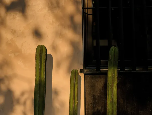 Pan Beach hotel detail image 2