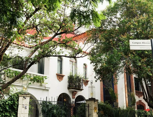 Orchid House Mexico City hotel detail image 2