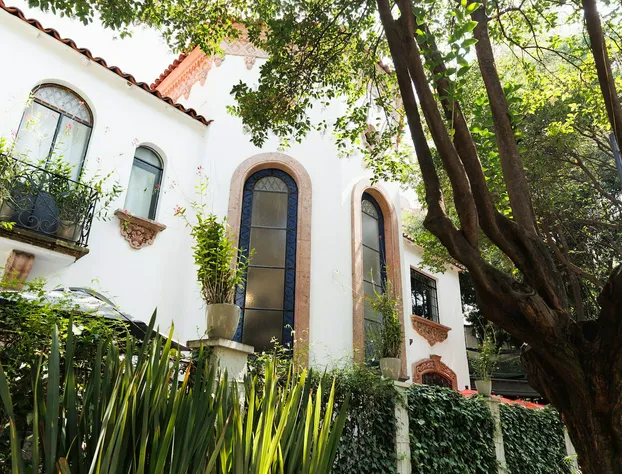 Orchid House Mexico City hotel detail image 3