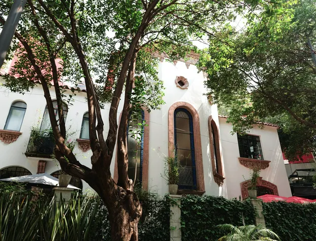 Orchid House Mexico City hotel detail image 4