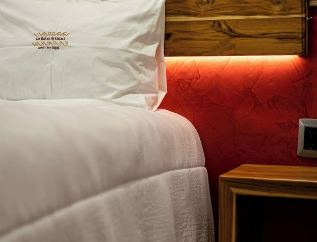 Las Raices de Oaxaca Hotel Boutique hotel detail image 4
