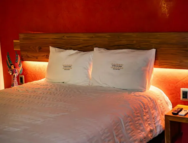 Las Raices de Oaxaca Hotel Boutique hotel detail image 4