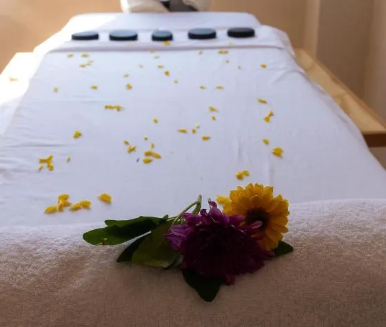 Hotel Integra Tepoztlán hotel detail image 1