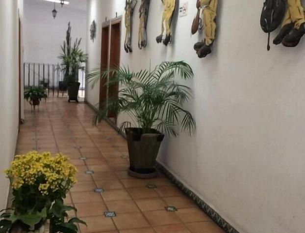 Hotel Integra Tepoztlán hotel detail image 1