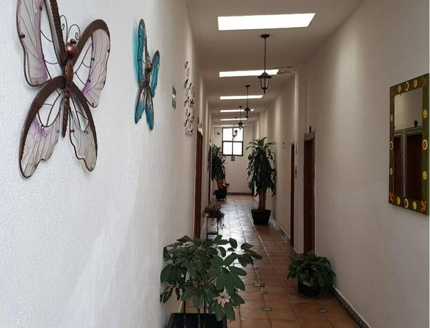 Hotel Integra Tepoztlán hotel detail image 2