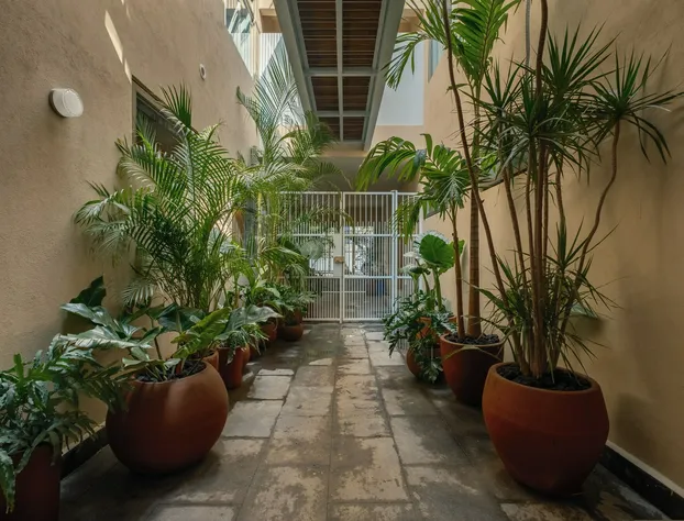 Cholula Condesa Hotel by Lumina hotel detail image 2