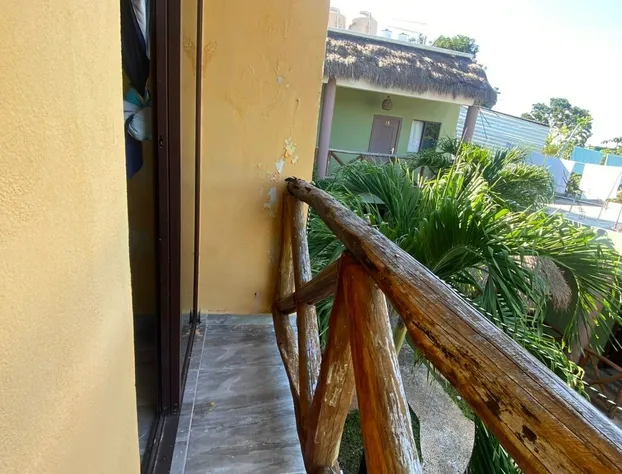 Jungla maya hotel hotel detail image 4