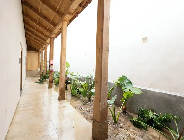 Jungla Hotel Boutique hotel detail image 4