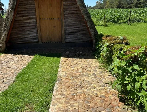 Cabañas Green Life hotel detail image 1