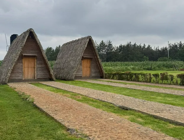 Cabañas Green Life hotel detail image 4